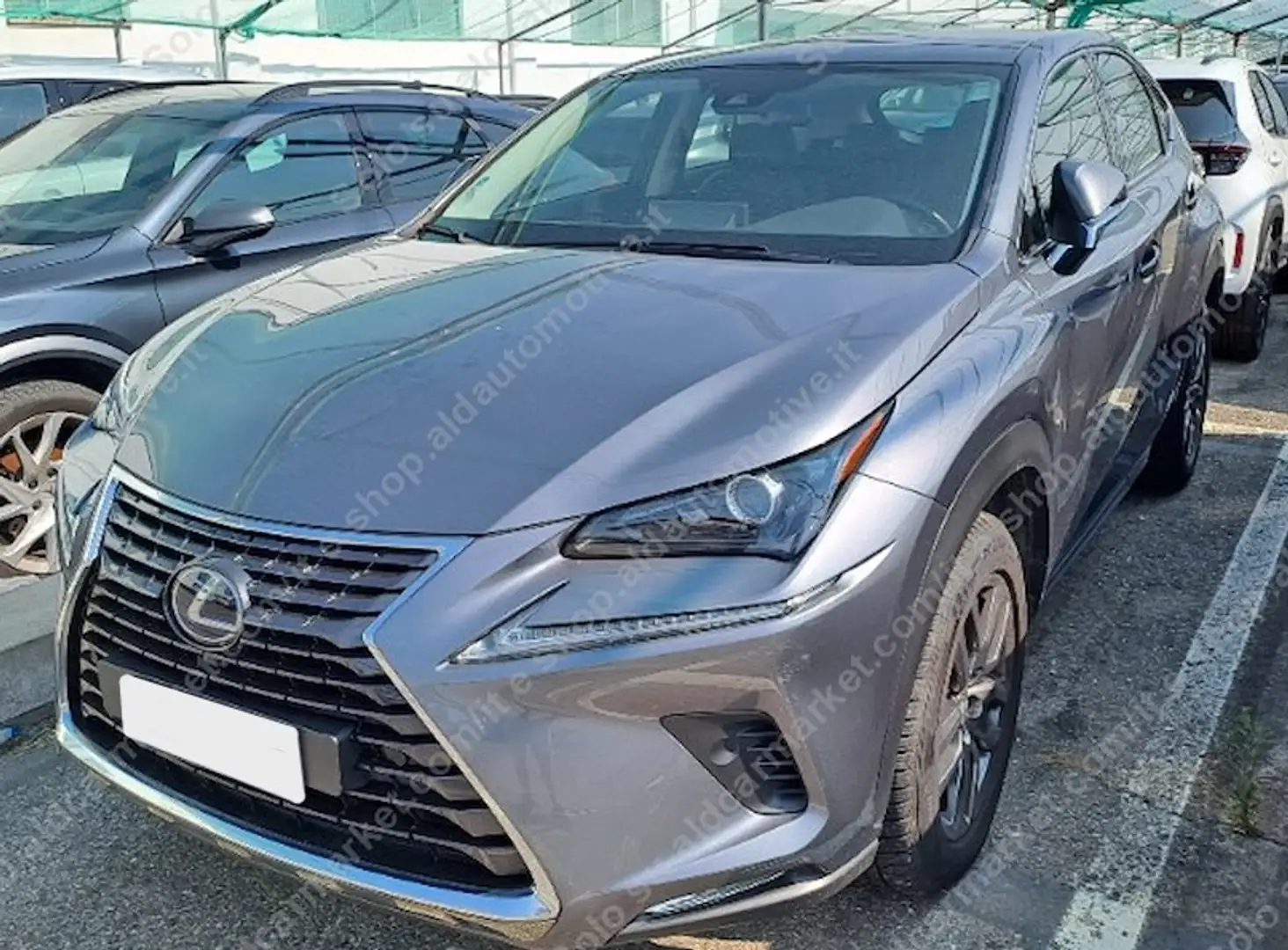 Lexus NX 300 300h Premium+ 4WD Gri - 1