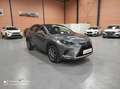Lexus NX 300 300h Premium+ 4WD Gris - thumbnail 3