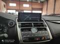 Lexus NX 300 300h Premium+ 4WD Gris - thumbnail 11