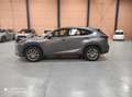Lexus NX 300 300h Premium+ 4WD Gris - thumbnail 5
