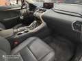 Lexus NX 300 300h Premium+ 4WD Gris - thumbnail 8