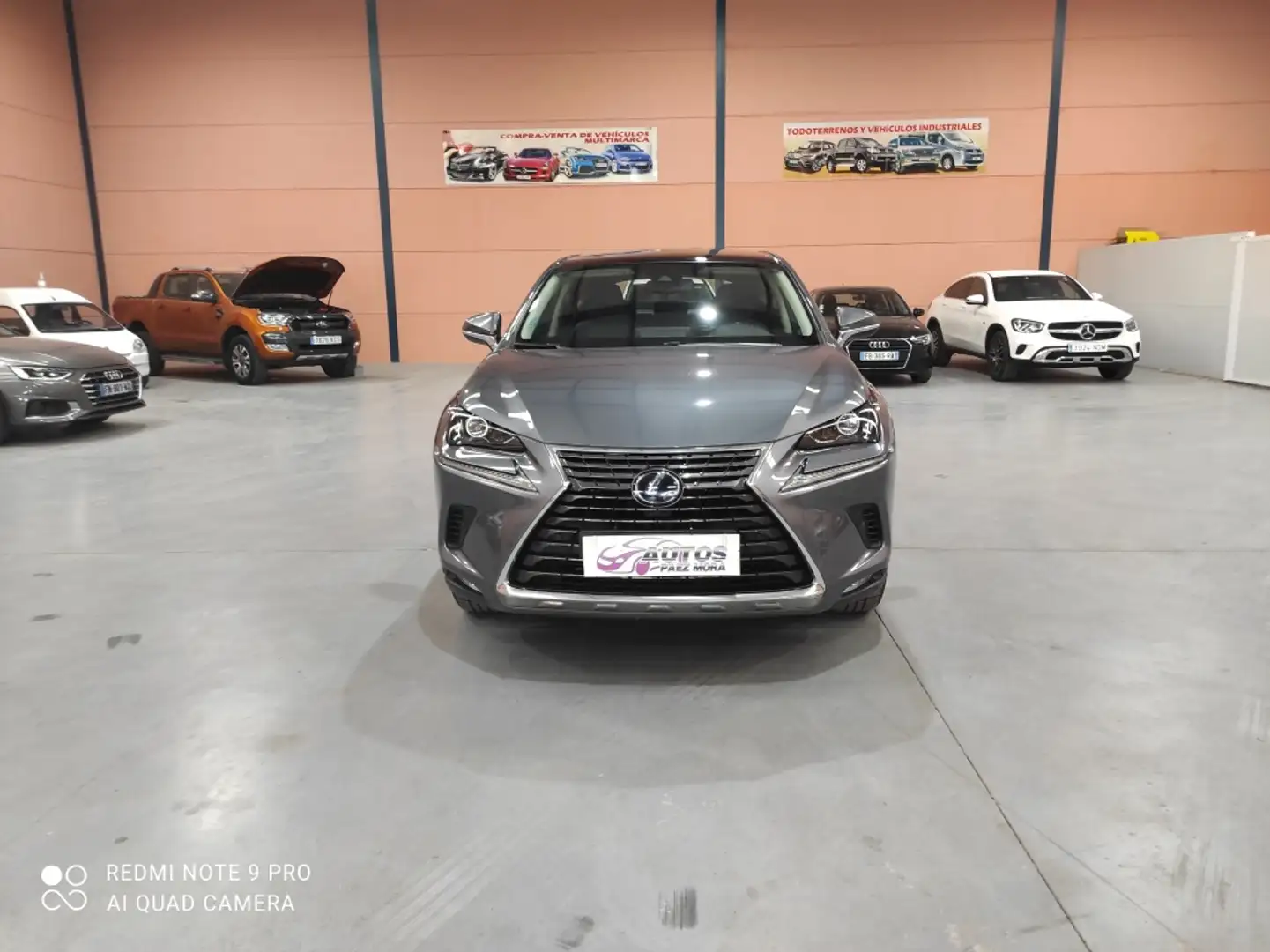 Lexus NX 300 300h Premium+ 4WD Gris - 2