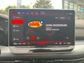 Volkswagen Golf GTI Clubsport 2,0 l DSG Rot - thumbnail 10