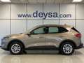 Ford Kuga 1.5 EcoBlue Titanium FWD 120 Plateado - thumbnail 2