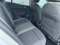Volkswagen Golf VIII 1.5 TSI ACTIVE +AHK +LED +ACC +RKAM +VIRTUAL Weiß - thumbnail 13