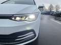 Volkswagen Golf VIII 1.5 TSI ACTIVE +AHK +LED +ACC +RKAM +VIRTUAL Weiß - thumbnail 6