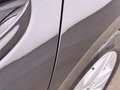 Volkswagen Golf Variant Golf VIII Variant 2.0 TDI Aut LED RADAR NAVI Schwarz - thumbnail 31