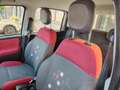Fiat Panda 1.2 EasyPower Lounge NEOPATENTATI Argento - thumbnail 11
