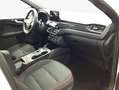 Ford Kuga 2.0 EcoBlue Aut. ST-LINE Blanc - thumbnail 10