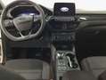 Ford Kuga 2.0 EcoBlue Aut. ST-LINE Blanc - thumbnail 9