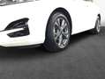 Ford Kuga 2.0 EcoBlue Aut. ST-LINE Blanc - thumbnail 5