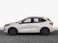 Ford Kuga 2.0 EcoBlue Aut. ST-LINE Blanc - thumbnail 4
