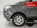 Ford EcoSport 1.0 EcoBoost 125 CV Titanium - thumbnail 5