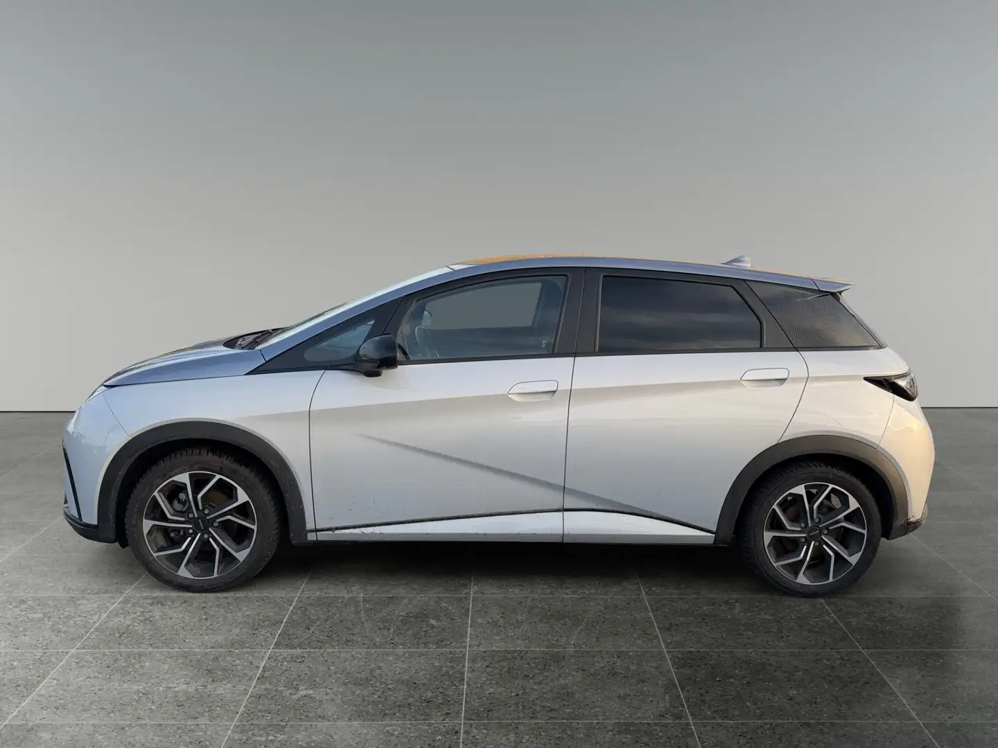 BYD Dolphin Design *8-fach bereift* Grau - 2