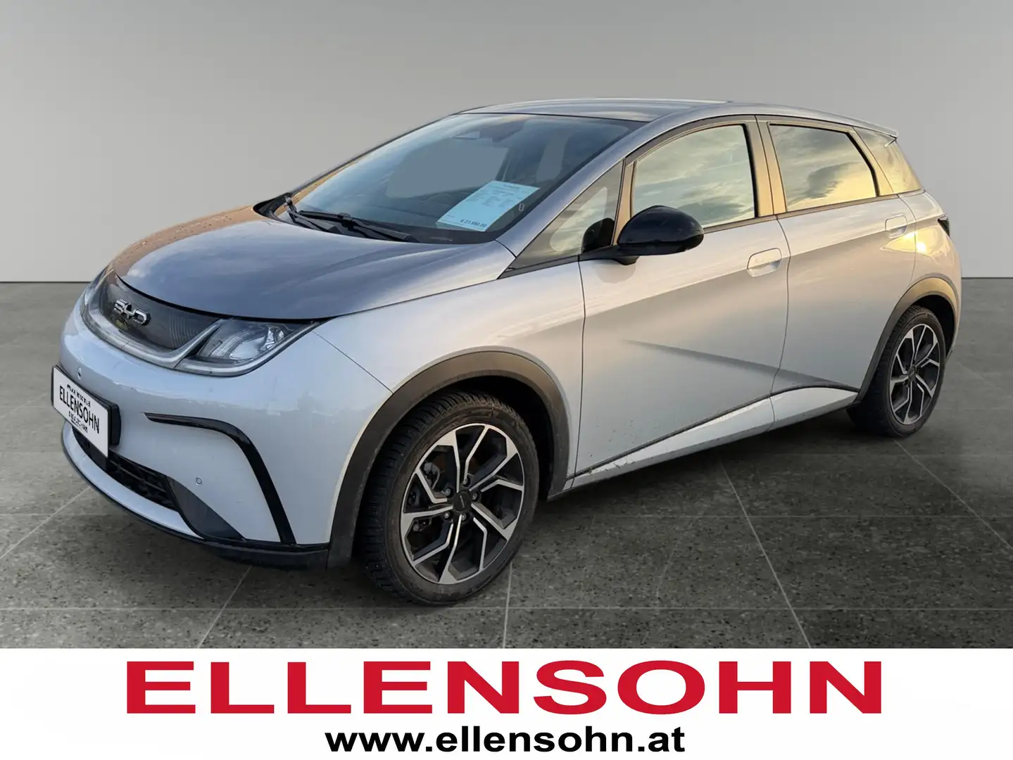 BYD Dolphin Design *8-fach bereift* Grau - 1