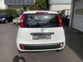 Fiat Panda Pop Euro 6 Klimaanlage Blanc - thumbnail 6