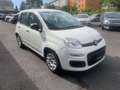 Fiat Panda Pop Euro 6 Klimaanlage Blanc - thumbnail 2