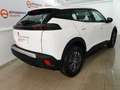 Peugeot 2008 N ACTIVE PACK 1.2 PURETECH 100 CV 5P Blanco - thumbnail 14