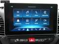 Iveco Daily 35C21 Coming Soon! 3.0L Automatik L3H2 Grau - thumbnail 15