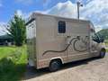 Opel Movano Pferdetransporter Movano 2.3 D (CDTI) L3H1 DPF 2WD Gold - thumbnail 19