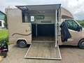 Opel Movano Pferdetransporter Movano 2.3 D (CDTI) L3H1 DPF 2WD Gold - thumbnail 11