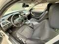 BMW 318 318d Business AUTOM. PERFETTA - thumbnail 9