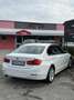 BMW 318 318d Business AUTOM. PERFETTA - thumbnail 20