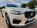 Volvo XC60 B5 AWD R-Design H&K HUD NAVI MEMO PANO 360* Silber - thumbnail 3