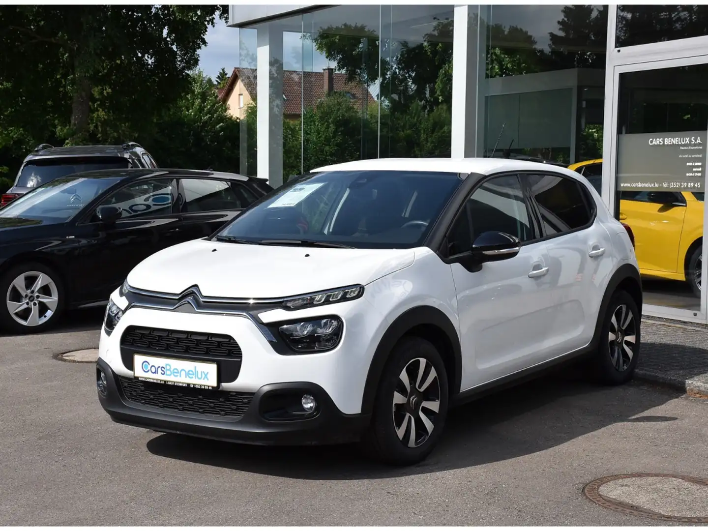 Citroen C3 1.2 PureTech Shine CLIMA REGUL LANE PDC NEUVE Blanc - 2
