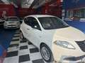Lancia Ypsilon 1.2 8v Platinum s&s 69cv Neo Patentati Blanc - thumbnail 5