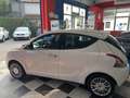 Lancia Ypsilon 1.2 8v Platinum s&s 69cv Neo Patentati Blanc - thumbnail 6