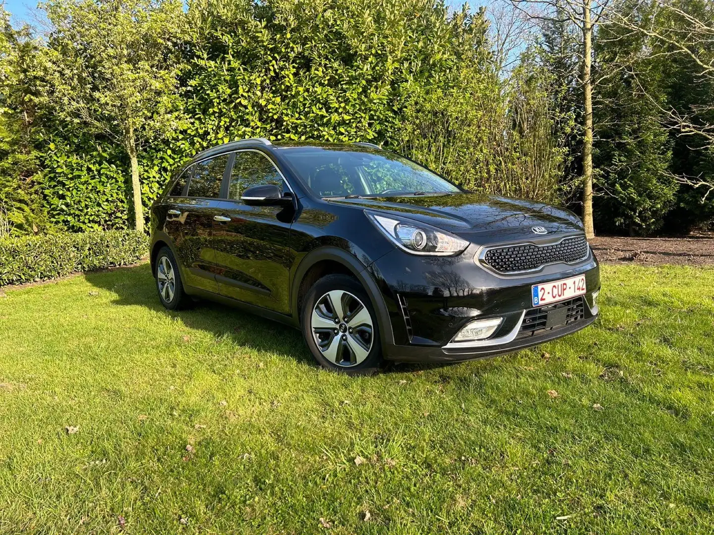 Kia Niro 1.6 GDI PHEV 2WD Aut. Vision - 1