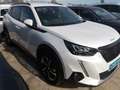 Peugeot 2008 Allure Pack BlueHDI 81kW 110CV Blanco - thumbnail 4