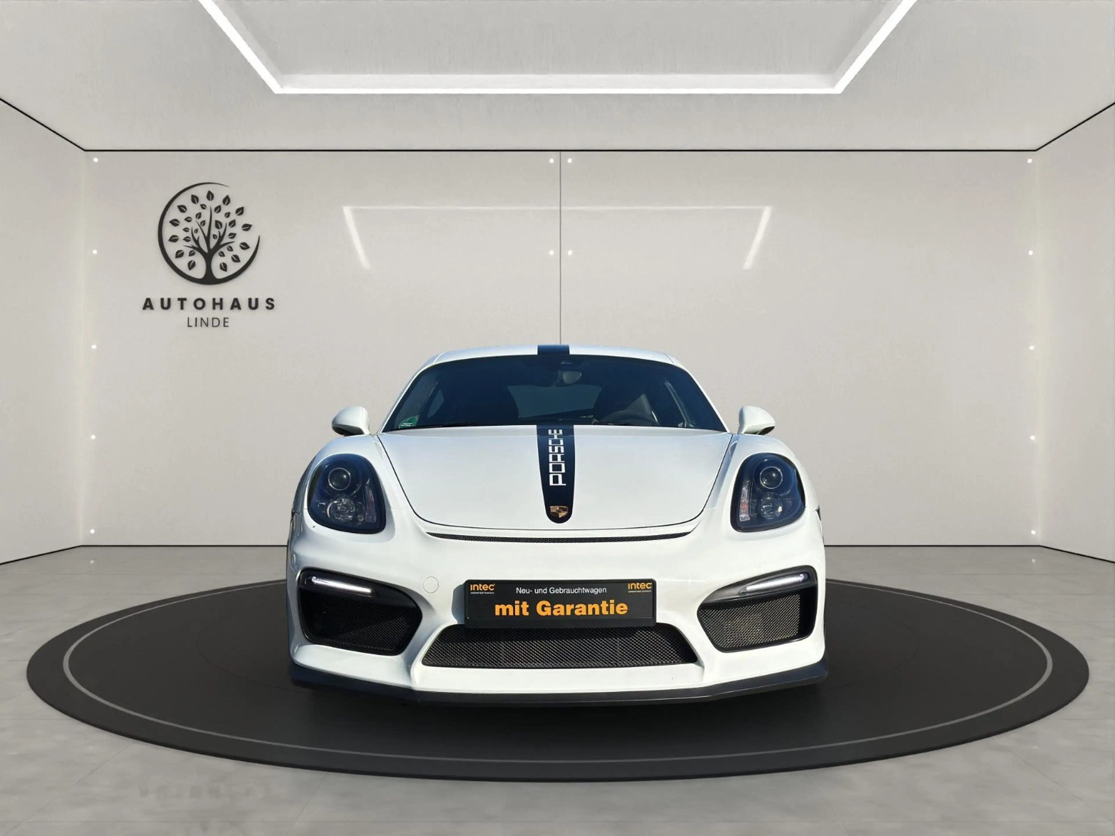 Porsche Cayman GT4 CLUBSPORT /CARBON/CHRONO/NAVI/PASM — photo 8