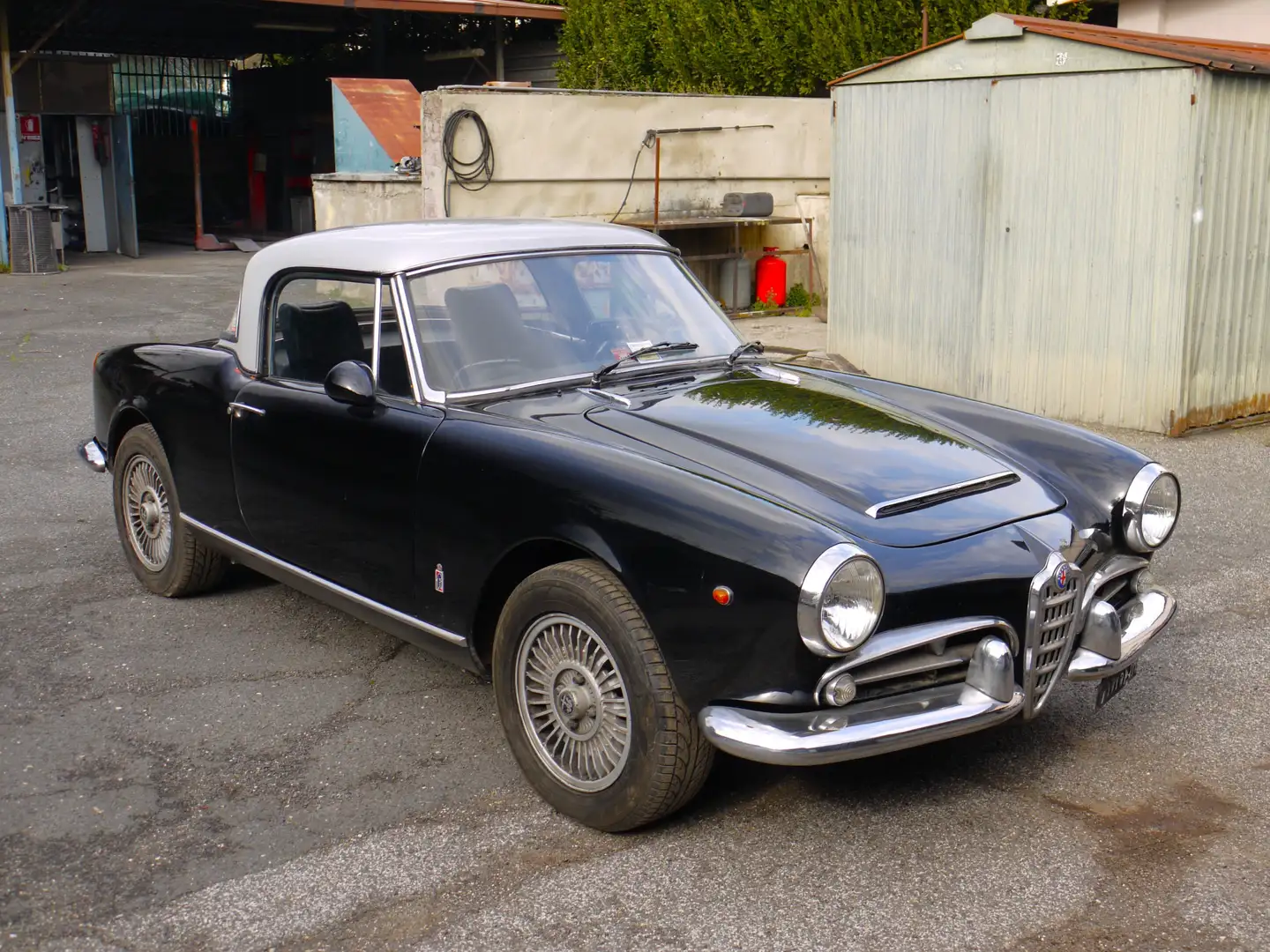Alfa Romeo Giulia Spider, 1964, Targata Rm Noir - 1