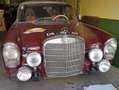 Mercedes-Benz 230 230 S Rojo - thumbnail 12