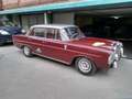 Mercedes-Benz 230 230 S Rojo - thumbnail 3