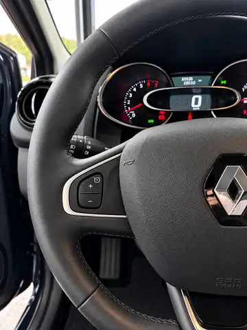 Renault Clio view 14