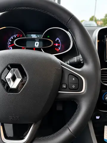 Renault Clio view 15