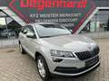Skoda Karoq Ambition Car Play Navi Temp Sitzhzg Grau - thumbnail 14