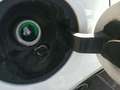 Lancia Ypsilon Ypsilon 1.2 Gold Plus Gpl 69cv 5 posti Weiß - thumbnail 14