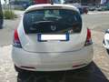 Lancia Ypsilon Ypsilon 1.2 Gold Plus Gpl 69cv 5 posti Weiß - thumbnail 5