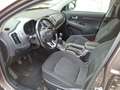Kia Sportage Edition PDC Klima SHZ 1.6 GDI - thumbnail 13