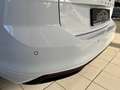 Volkswagen Passat Variant Business 2.0TSI DSG Rückfahrkamera Weiß - thumbnail 20