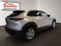 Mazda CX-30 G140 CENTRE-LINE DESI BIG DEAL - thumbnail 13