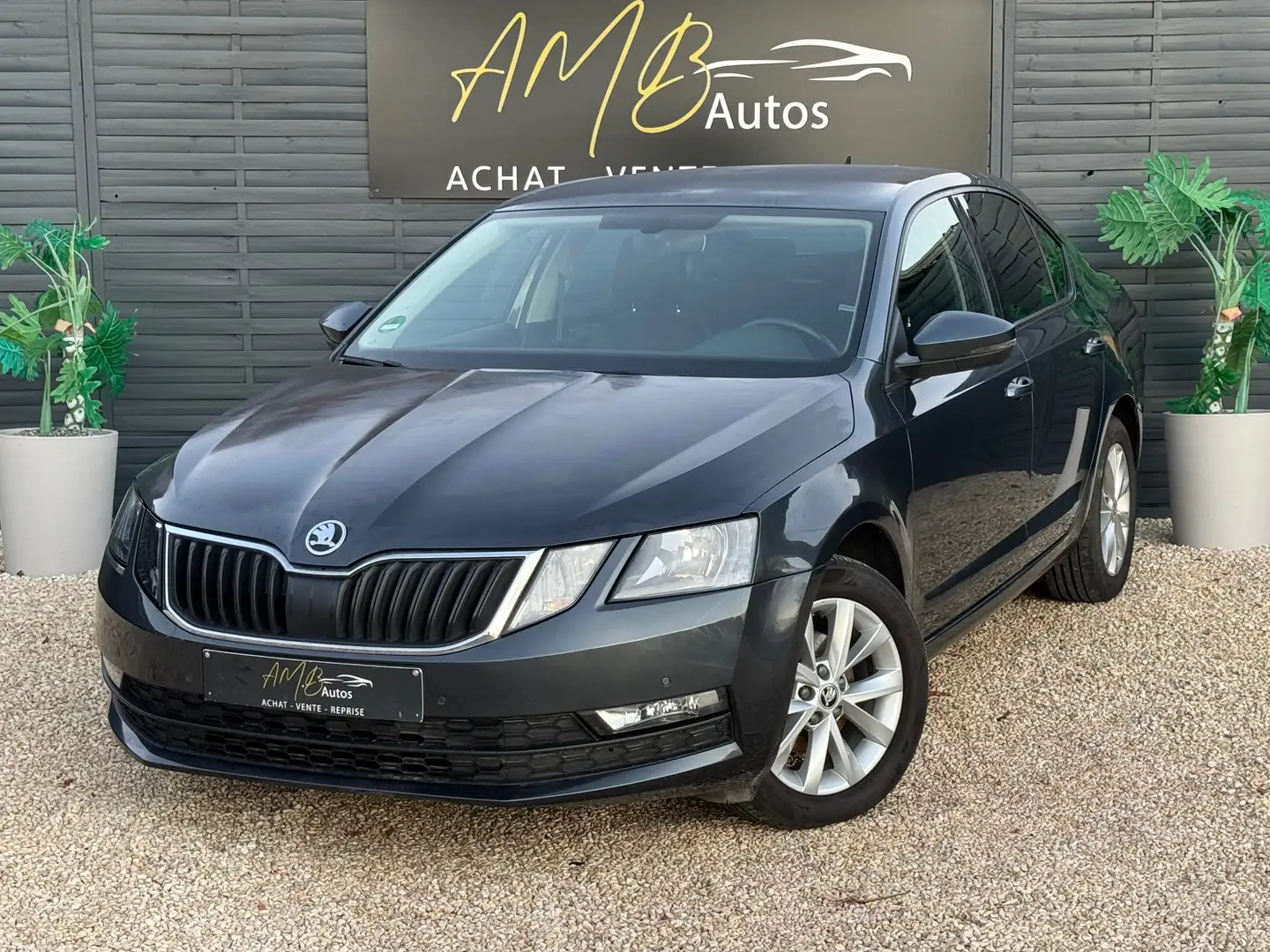 Skoda Octavia Octavia 1.6 CR TDi Ambition Gris - 1