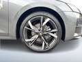 Skoda Octavia 4x4 Sportline TSI DSG Grau - thumbnail 6