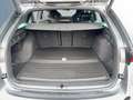Skoda Octavia 4x4 Sportline TSI DSG Grau - thumbnail 12