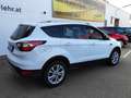 Ford Kuga 1,5 TDCi Titanium Start/Stop Powershift Aut. Weiß - thumbnail 4