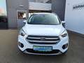 Ford Kuga 1,5 TDCi Titanium Start/Stop Powershift Aut. Weiß - thumbnail 8